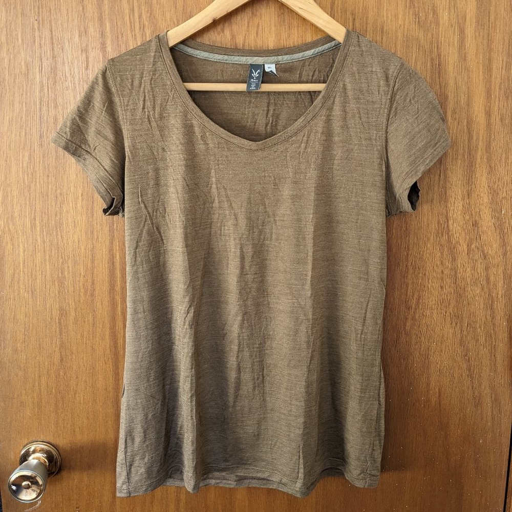 Ibex Wool-Silk T-shirt